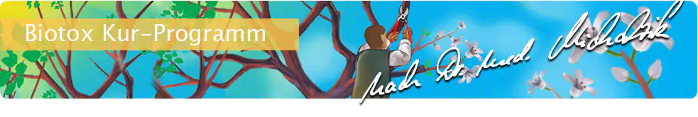 Biotox programa de cura