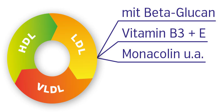 Cápsulas con beta-glucano, vitamina B3, E y monacolina, colorida representación del perfil de colesterol.