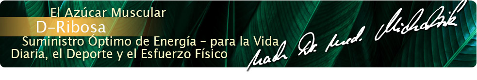 D-Ribose Kapseln nach Dr. med. Michalzik