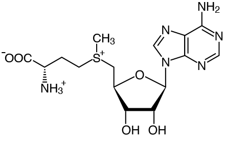 Proteína de suero en un envase de 500 g, color claro, vista lateral.