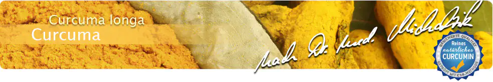 Curcuma