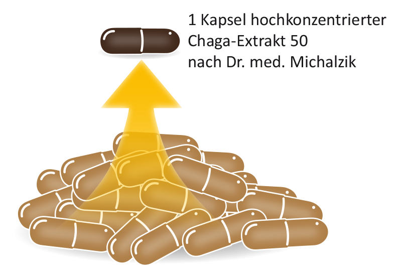 Extracto de Chaga 50