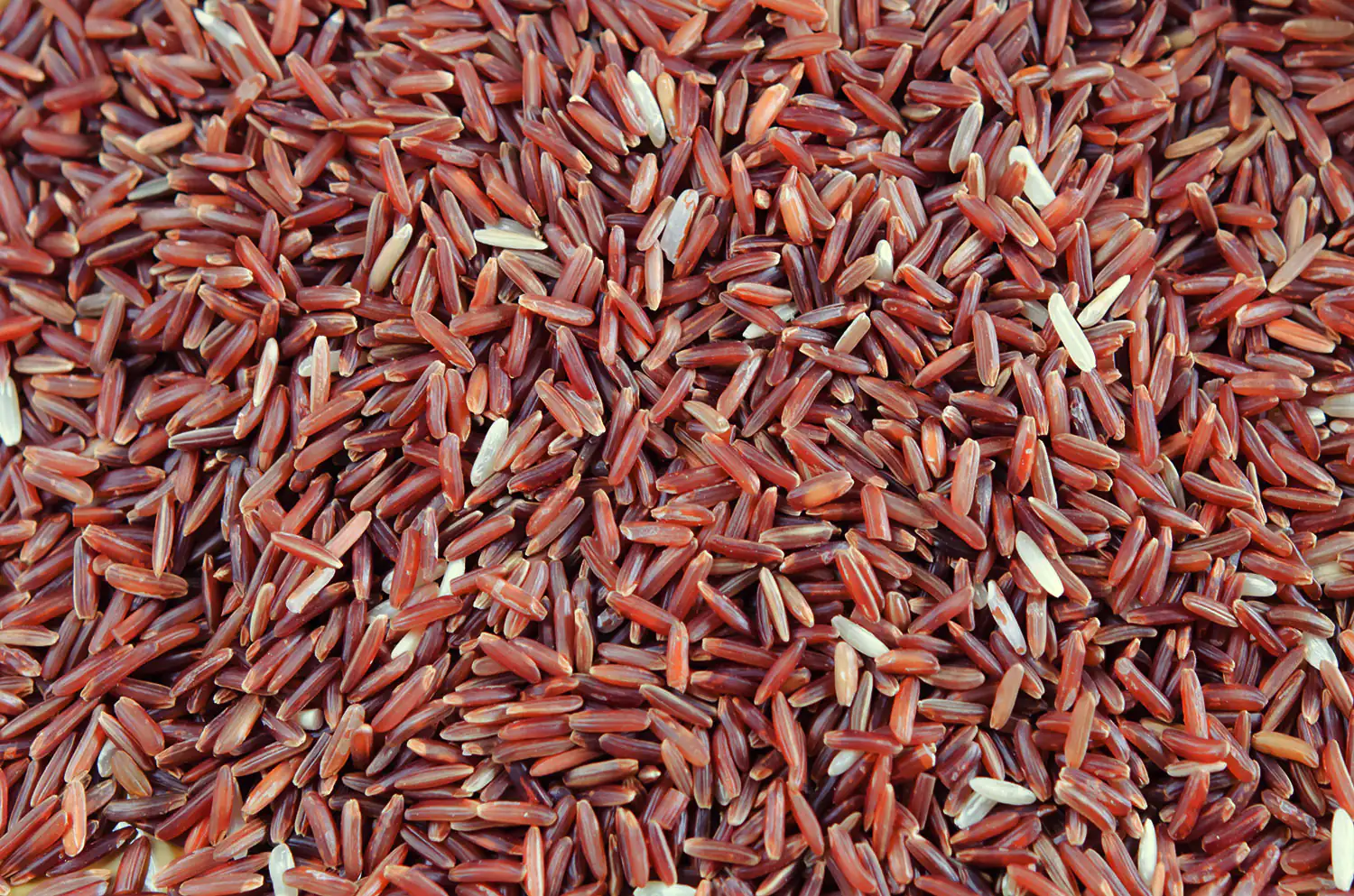 Arroz rojo