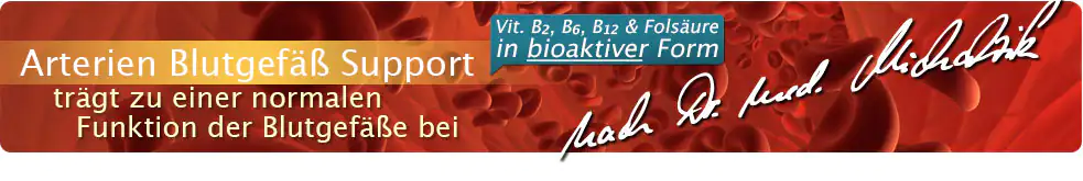 Arterias Soporte de Vasos Sanguíneos