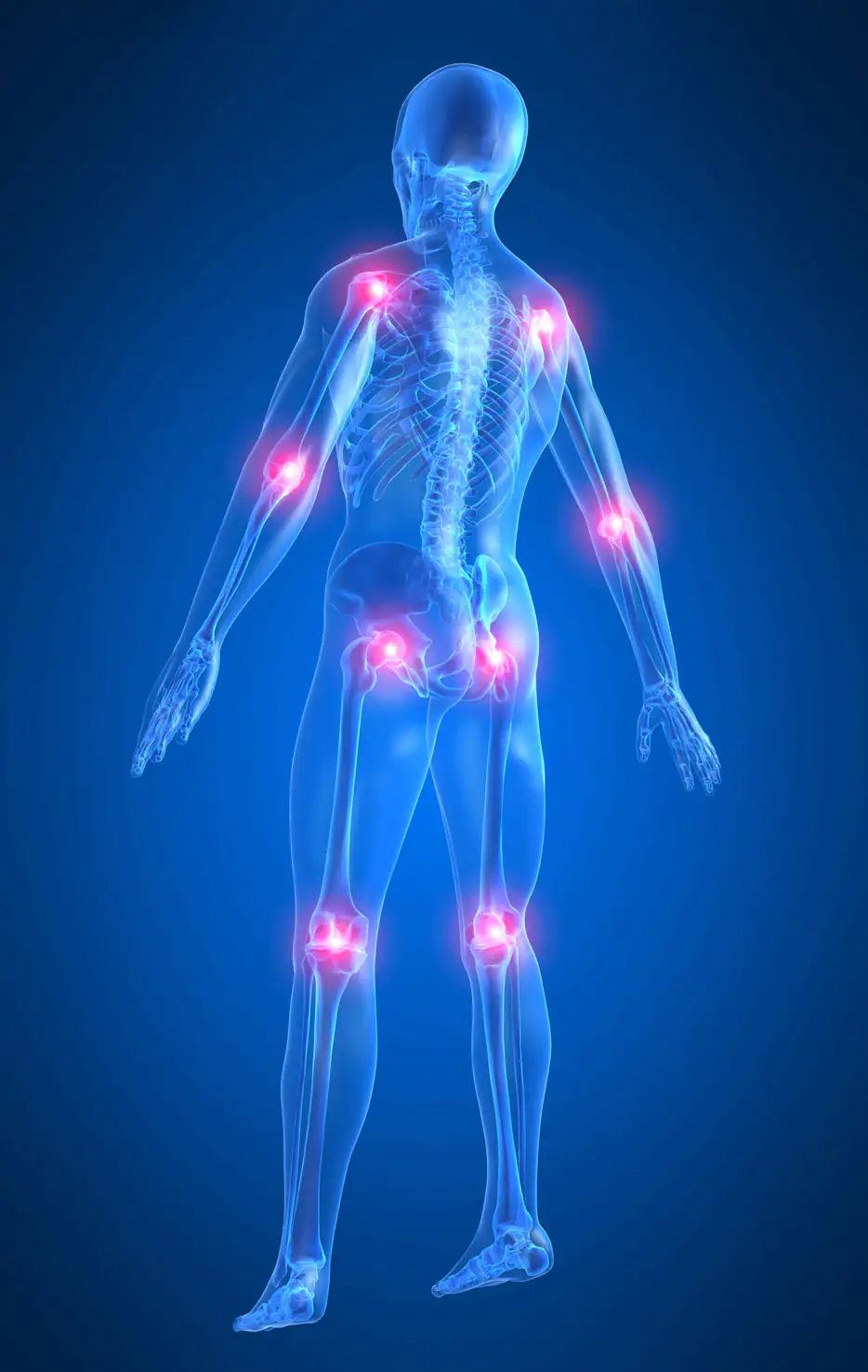 Sistema musculoesquelético Representación gráfica de un cuerpo humano con articulaciones destacadas, fondo azul, vista frontal.