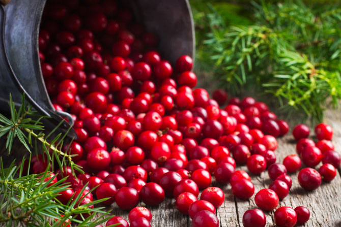 Cranberries 500 g – frutas sueltas Cranberries frescas, de color rojo brillante, esparcidas en un entorno de madera, rodeadas de ramas verdes.