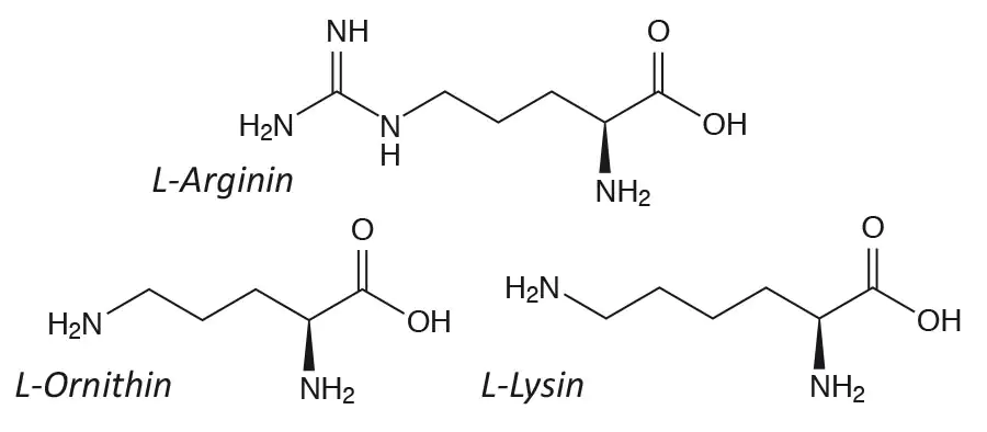Estructuras de L-Arginina, L-Ornitina y L-Lisina en representación en blanco y negro.