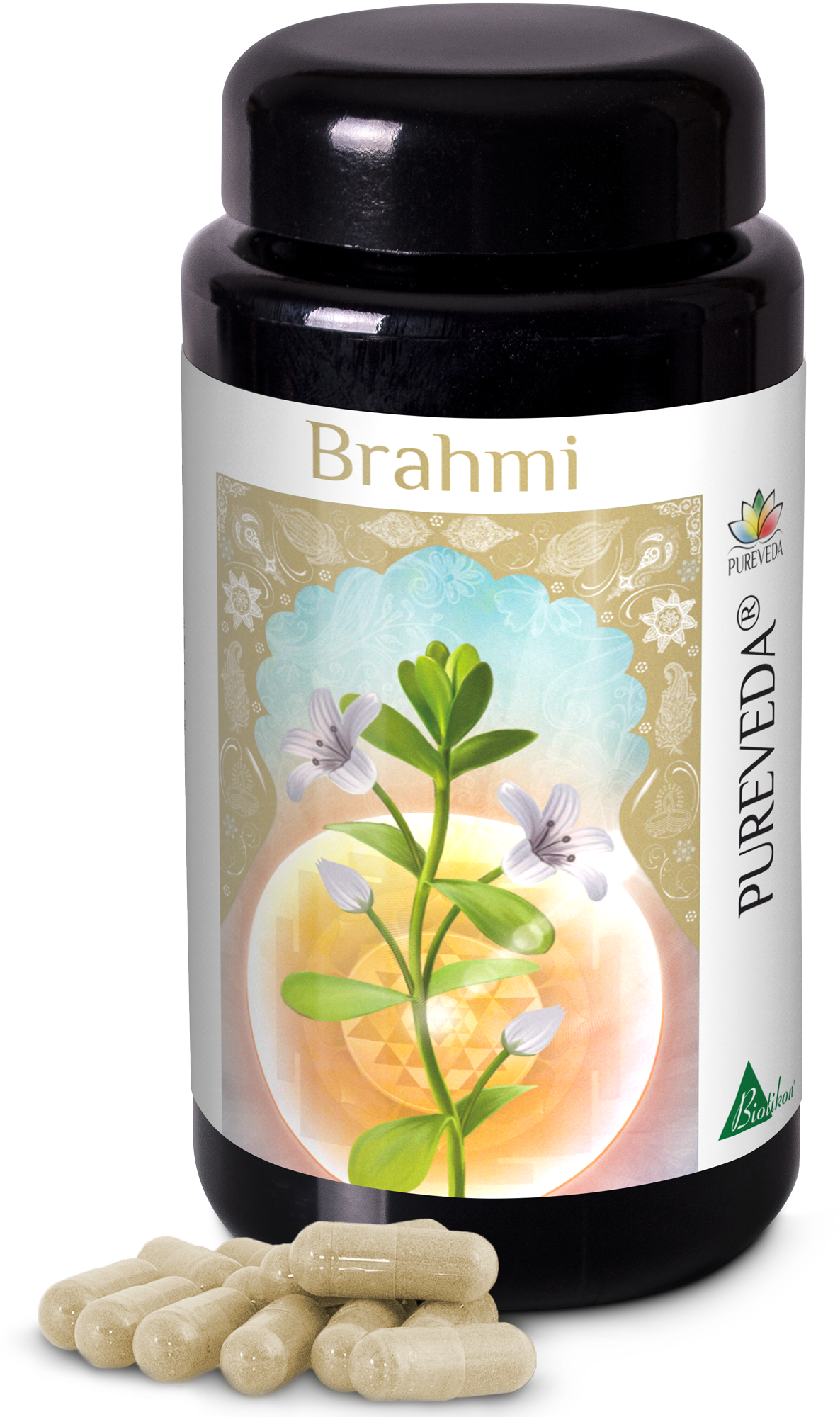 Kapsulas de Brahmi – 60 piezas Botella marrón transparente con cápsulas de Brahmi en color natural, rodeada de varias cápsulas.