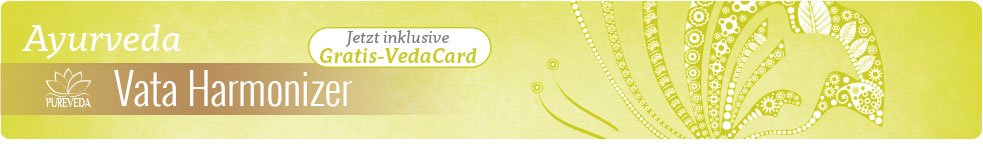 Vata Harmonizador