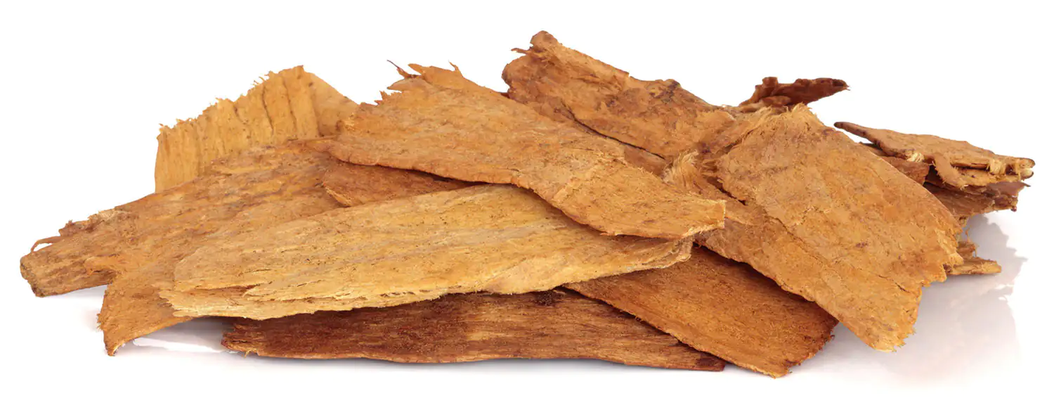 Astragalosido IV Astragalus membranaceus raíz Hierbas secas naturales en color marrón, empaquetadas sueltas, 100 g.