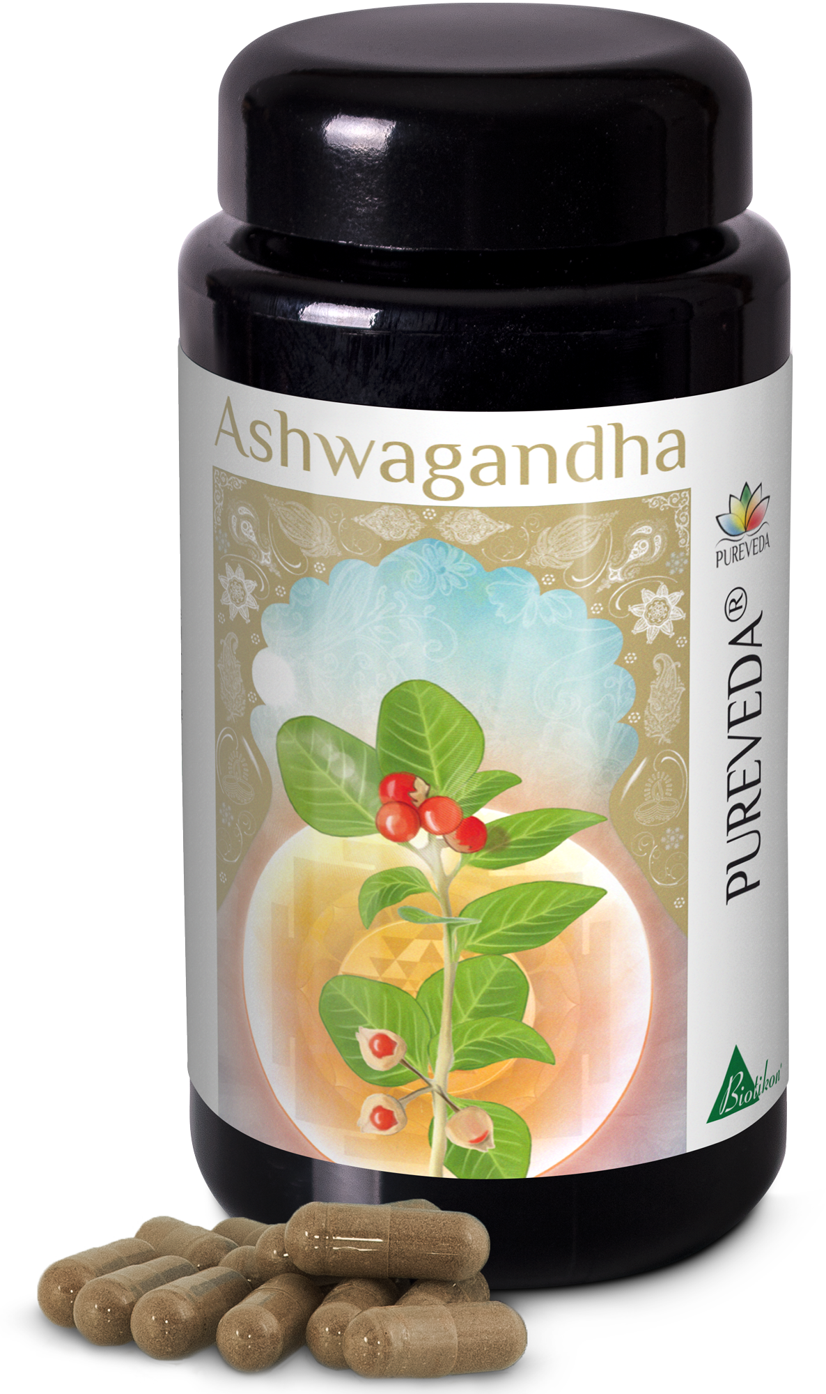 Ashwagandha 500 mg – Cápsulas Envase con cápsulas de 500 mg de Ashwagandha en recipiente negro, con varias cápsulas al frente.