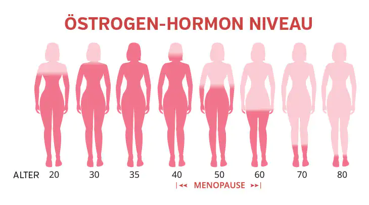 Niveles de hormona estrógeno por edad – Gráfico Ilustración muestra los niveles de hormona estrógeno en diferentes grupos de edad, desde 20 hasta 80 años.
