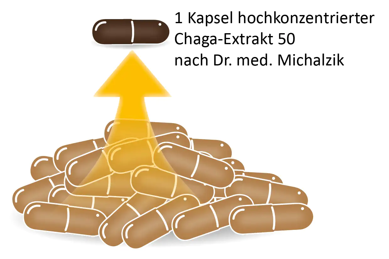 Una cápsula de extracto de Chaga altamente concentrado sobre un grupo de cápsulas marrones, mostrando estructura y color.