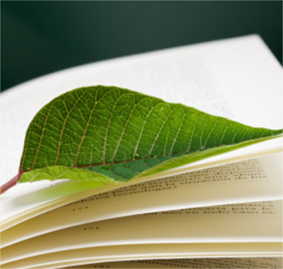 Hoja verde sobre libro abierto Primer plano de una hoja verde sobre las páginas de un libro abierto, colores brillantes, presentación natural.