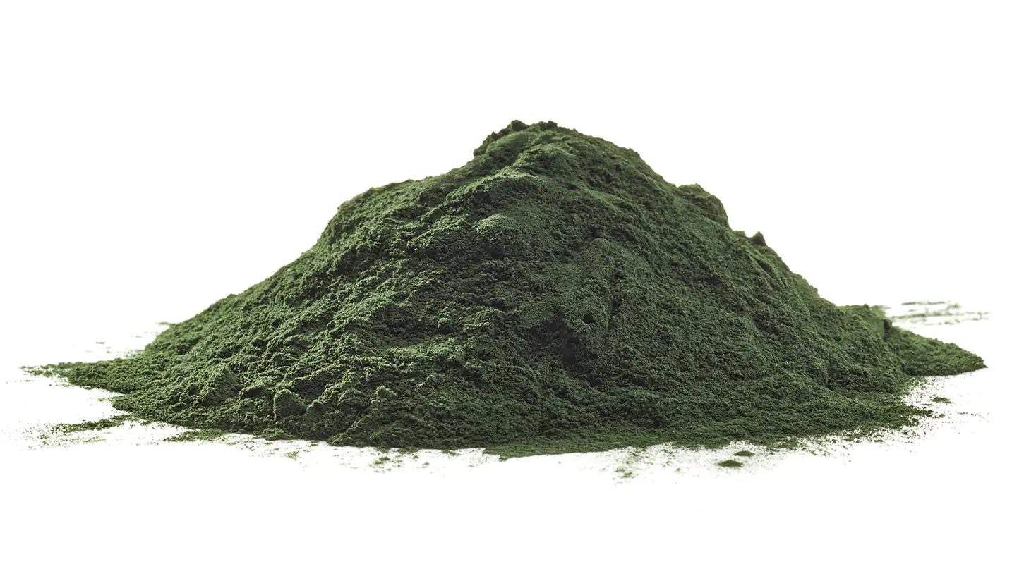 Polvo verde de Chlorella en una pequeña pila sobre fondo blanco, 500 g.