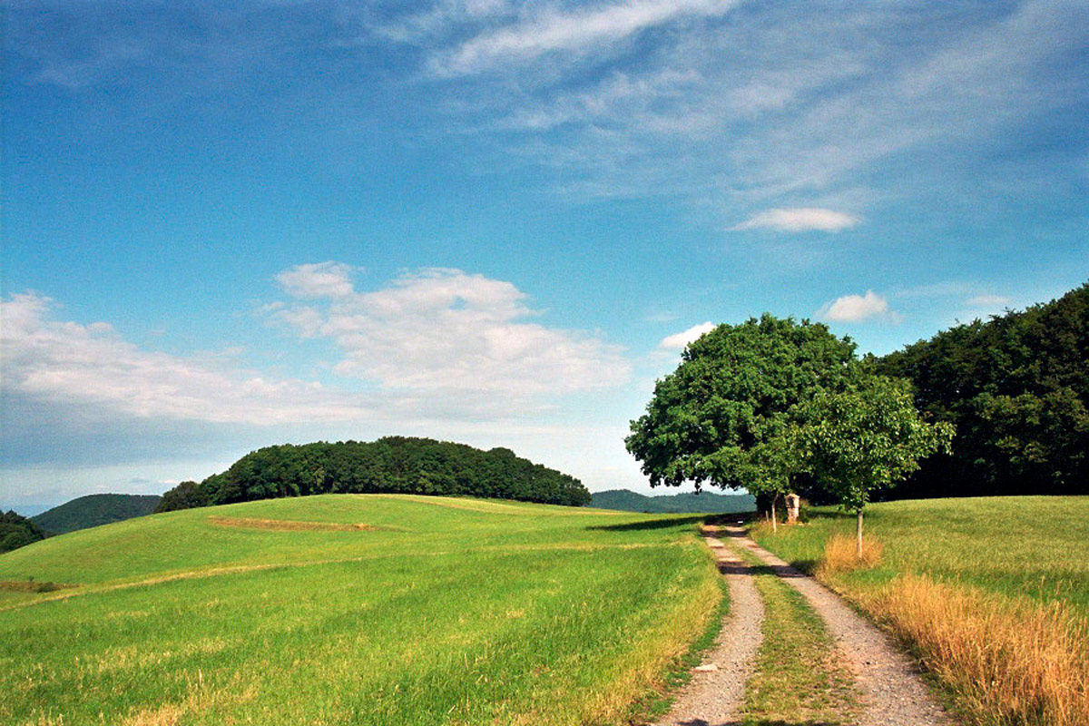 El Odenwald El Odenwald