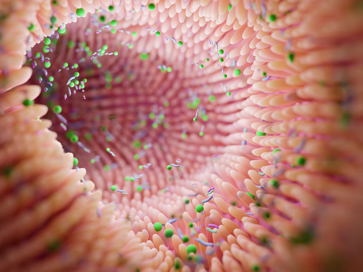 Imagen detallada de una estructura microscópica con partículas coloridas en tonos rosa y verde sobre una superficie texturizada.