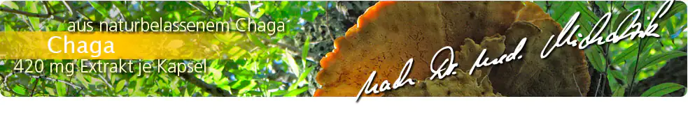 Lo siento, pero sin den vollständigen HTML-Text kann ich keine Übersetzung bereitstellen. Bitte gib den vollständigen HTML-Text ein, den du übersetzt haben möchtest.