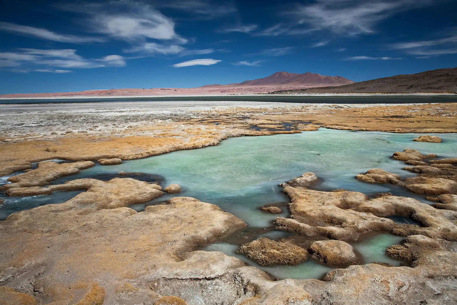Amplio paisaje con superficies salinas, agua verde-azulada, elementos de tierra marrón, bajo un cielo azul.