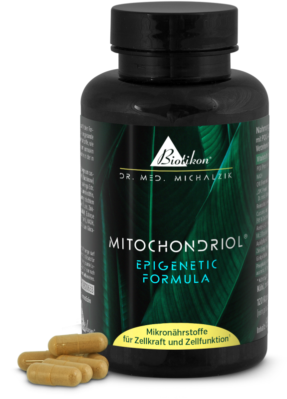 Botella negra con 120 cápsulas de Mitochondriol, hojas verdes de fondo.