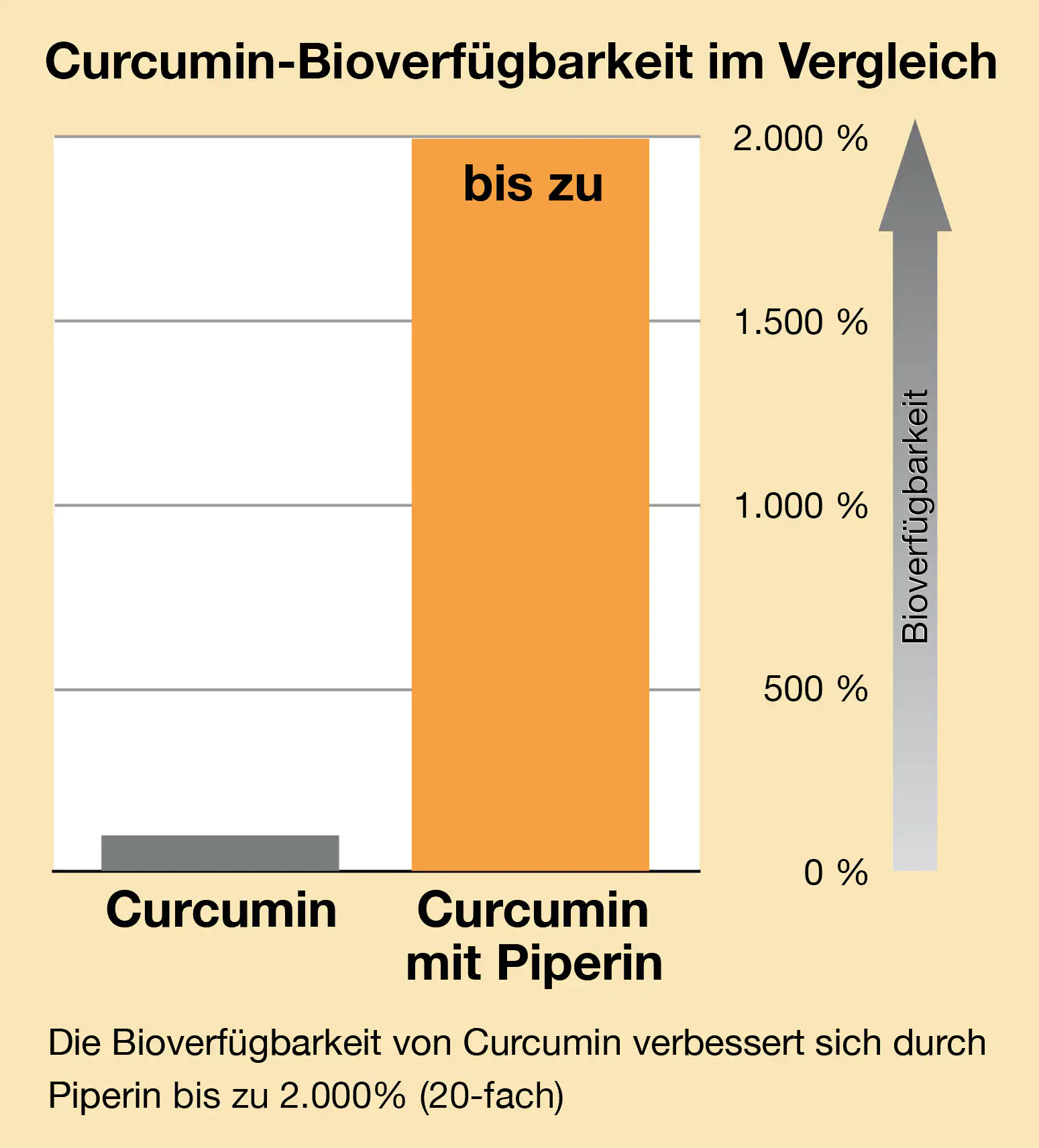Infografía sobre la biodisponibilidad de curcumina con y sin piperina, comparativa de hasta 2000%.