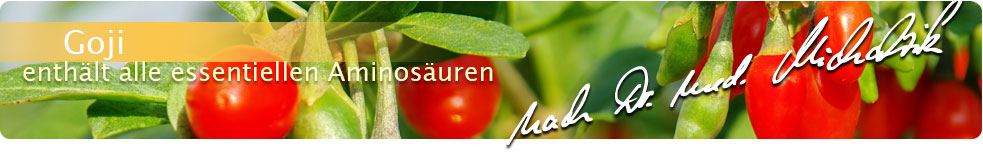 Lo siento, pero ich kann den Text nicht übersetzen, da er keine HTML-Tags enthält.