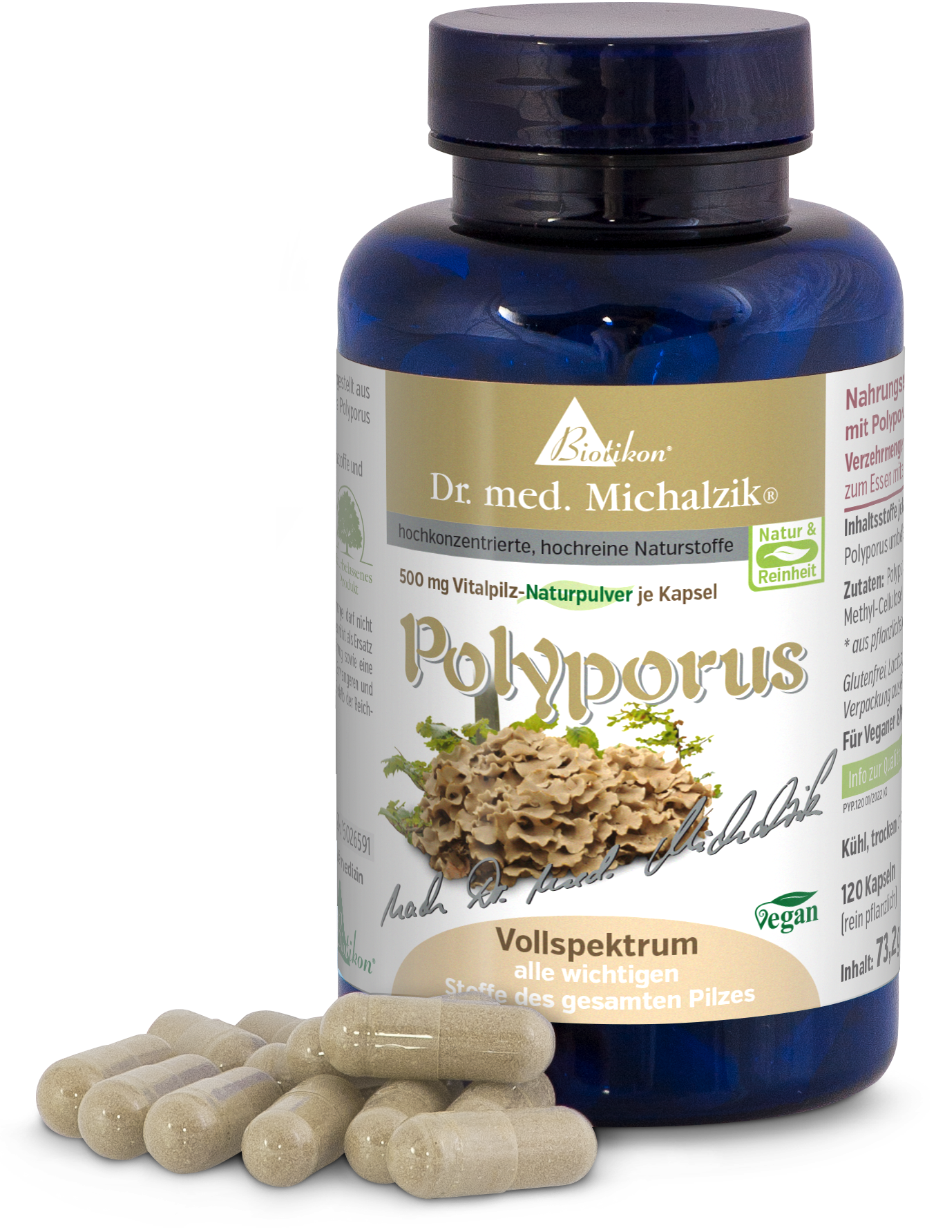 Polyporus 500 mg – Cápsulas Botella azul con 120 cápsulas, contenido de 500 mg de Polyporus. Las cápsulas son de color beige claro.