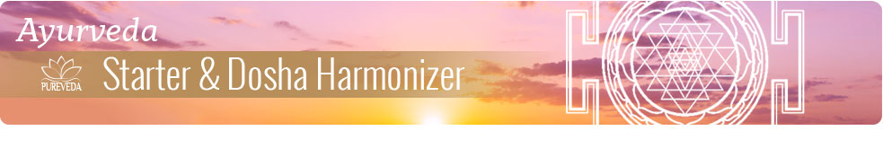 Starter + Armonizador Dosha