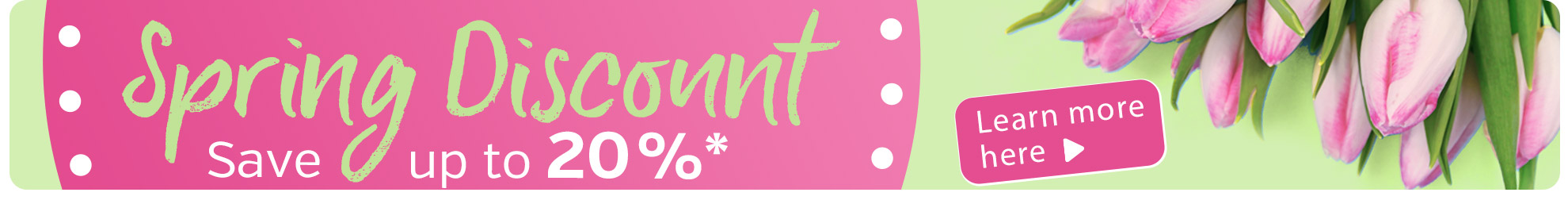 Banner con fondo rosa, descuento de primavera, tulipanes en los bordes.
