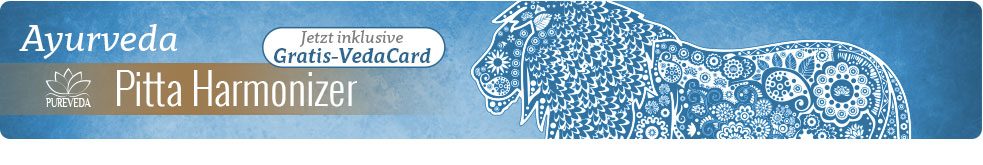 Pitta Harmonizador