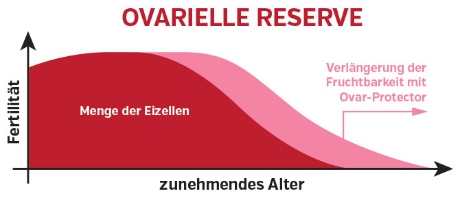 Ilustración de la reserva ovárica, muestra la cantidad de óvulos en relación con la edad avanzada, con consejos para prolongar la fertilidad.