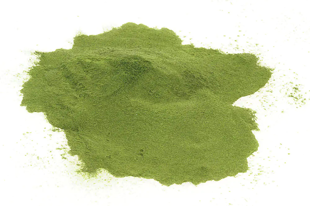 Moringa oleifera - calidad cruda, 100 g Polvo verde fino, consistencia suelta, sobre fondo blanco, 100 g.