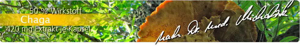 Chaga-Extracto 50