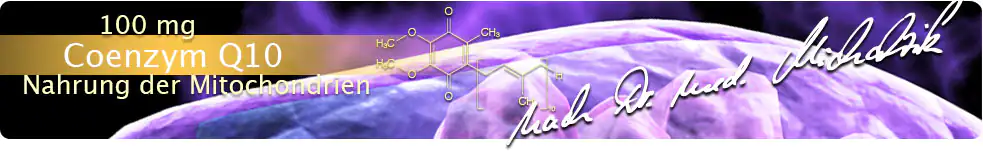 Lo siento, ich benötige den vollständigen Text, um ihn zu übersetzen. Bitte geben Sie den Text ein, den Sie übersetzt haben möchten.