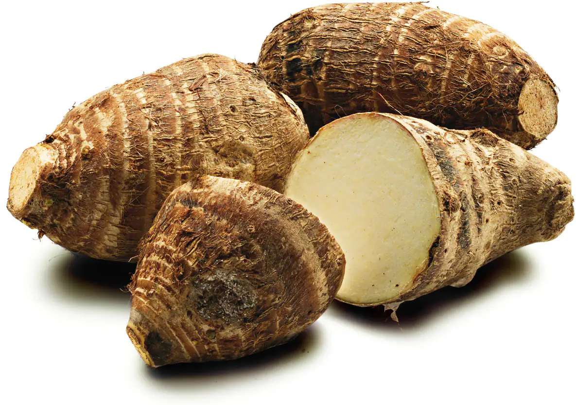 Yuca fresca sin pelar y cortada Raíces de yuca fresca, sin pelar y cortadas, cáscara marrón, interior blanco, sobre fondo claro.