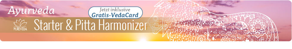 Starter + Armonizador de Pitta