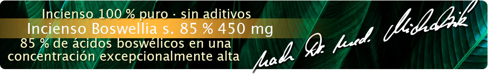 Incienso Boswellia serrata 85 % 450 mg