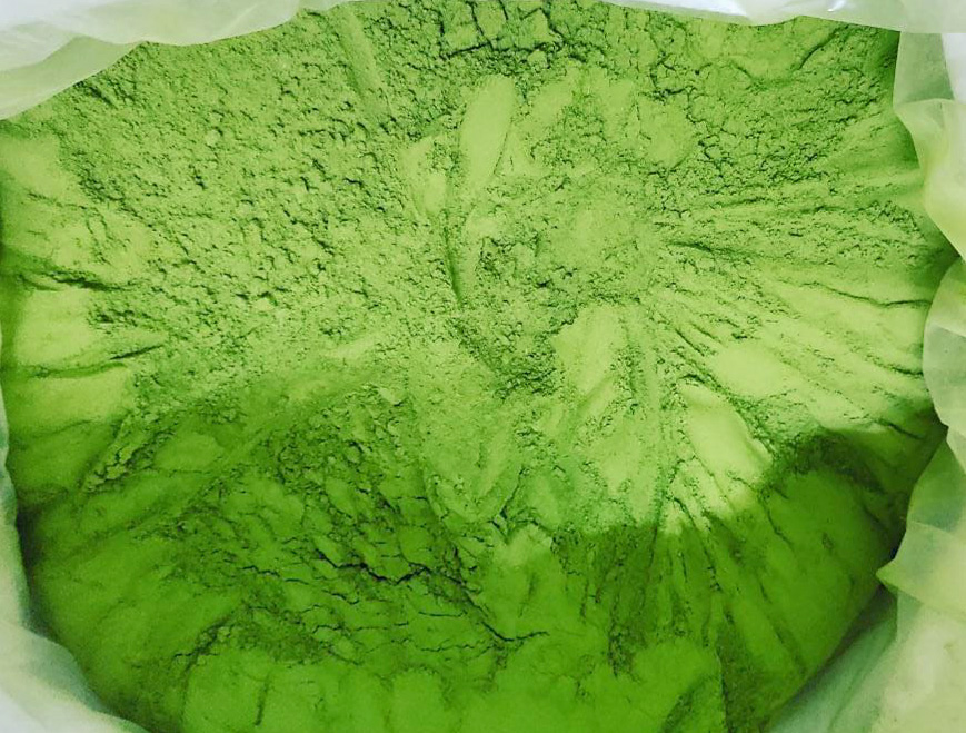 Polvo verde fino en un envase, visible. El polvo tiene un color verde brillante y una textura uniforme.