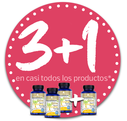 Promoción de Verano 3+1 2026