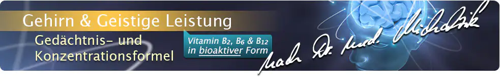 Gehirno & Rendimiento mental