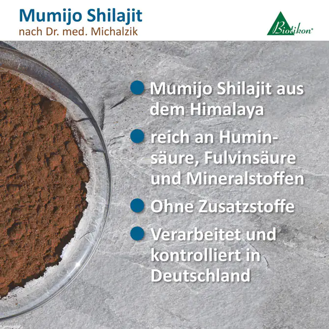 Mumijo Shilajit en un tazón, polvo marrón, textura fina, sobre fondo gris.