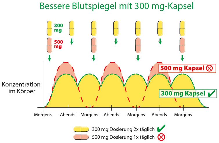 Cápsula de 300 mg – Mejores niveles en sangre Cápsula de 300 mg – Mejores niveles en sangre